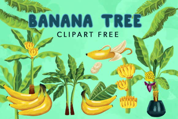 Banana Tree Clipart Free Graphics