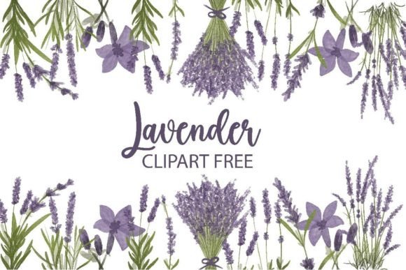 Lavender Clipart Free Graphics