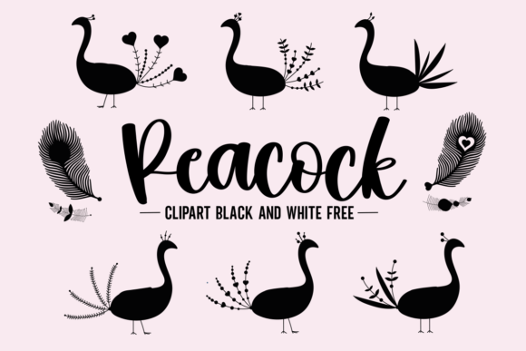 Peacock Clipart Black and White Free Graphics