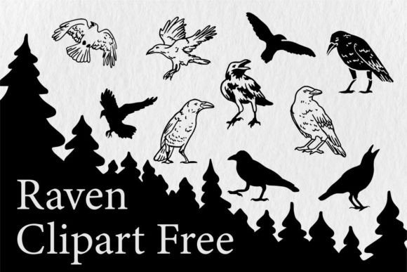 Raven Clipart Free Graphics