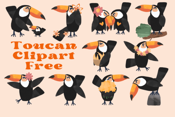 Toucan Clipart Free Graphics